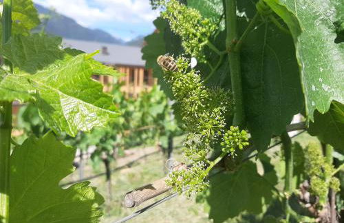 Ölackererhof - Foto 69