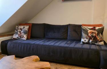 Appartement atypique au cœur de Sallanches - Foto 17