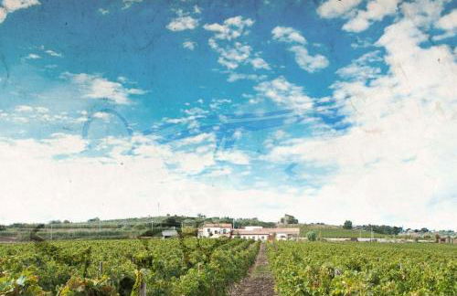 Relais I Dolci Grappoli - Foto 55