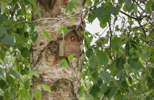 Pigsfoot Lodge - Foto 21