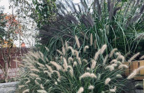 Tuyo Casa Sarabandy - Foto 28