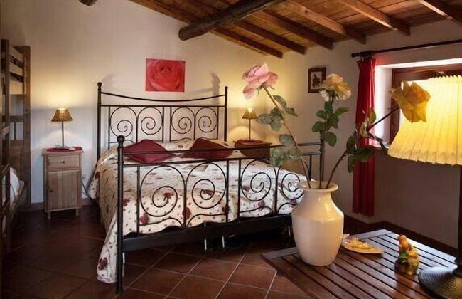 Olive Tree Hill - Foto 5