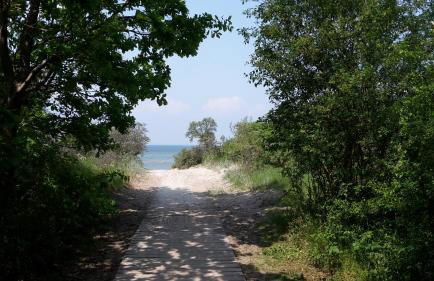 Haus zum Strand Seestern - Photo 14