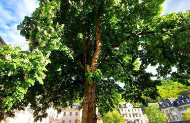 Premium Vulkaneifel Chalet - Foto 45