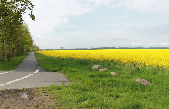 Wohnung mit Grossem Garten an der Ostseekuste - Foto 23