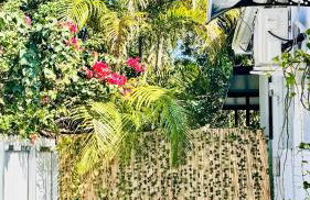 Miami North Beach - Foto 11