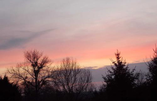 Ferienwohnung Mohnblume - Photo 23