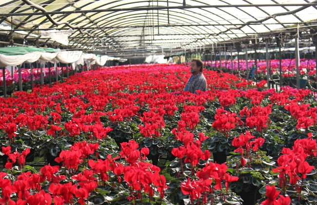 Agroturismo Ibarrondo Etxea - Foto 42