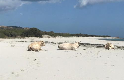 Villetta DESSANAI - Foto 62