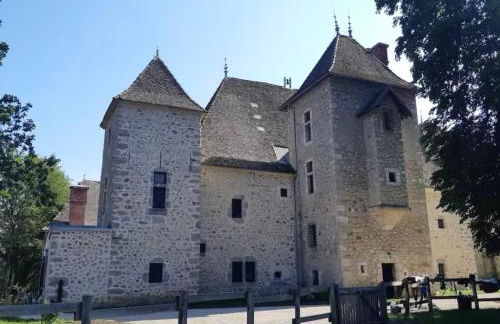 Château de Rivoiranche - Photo 6