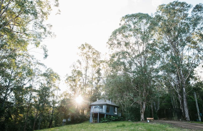Bluegums Cabins Barrington Tops - Photo 75
