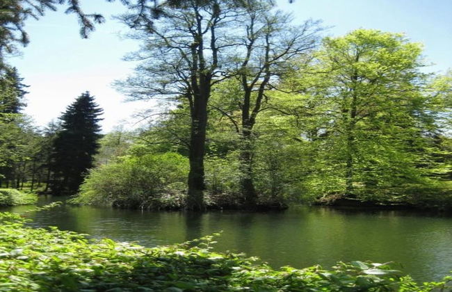 Bad Elster Apartment in Sohl - Foto 21