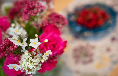 Apartments House Risika - Foto 20