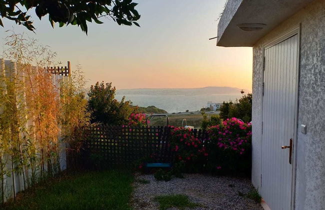 Perle De Cabo - Photo 1