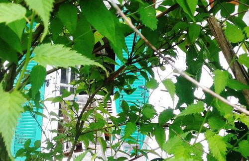 HOME4GOLF Uttlau - Foto 23