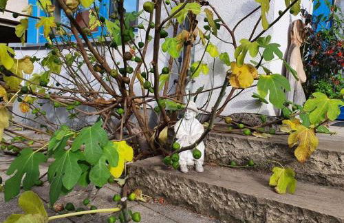 Engemann Modern Retreat - Foto 15