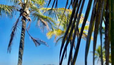 Unlimited Ocean Front - Foto 2