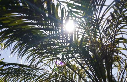 Oasis Green Villa - Foto 16