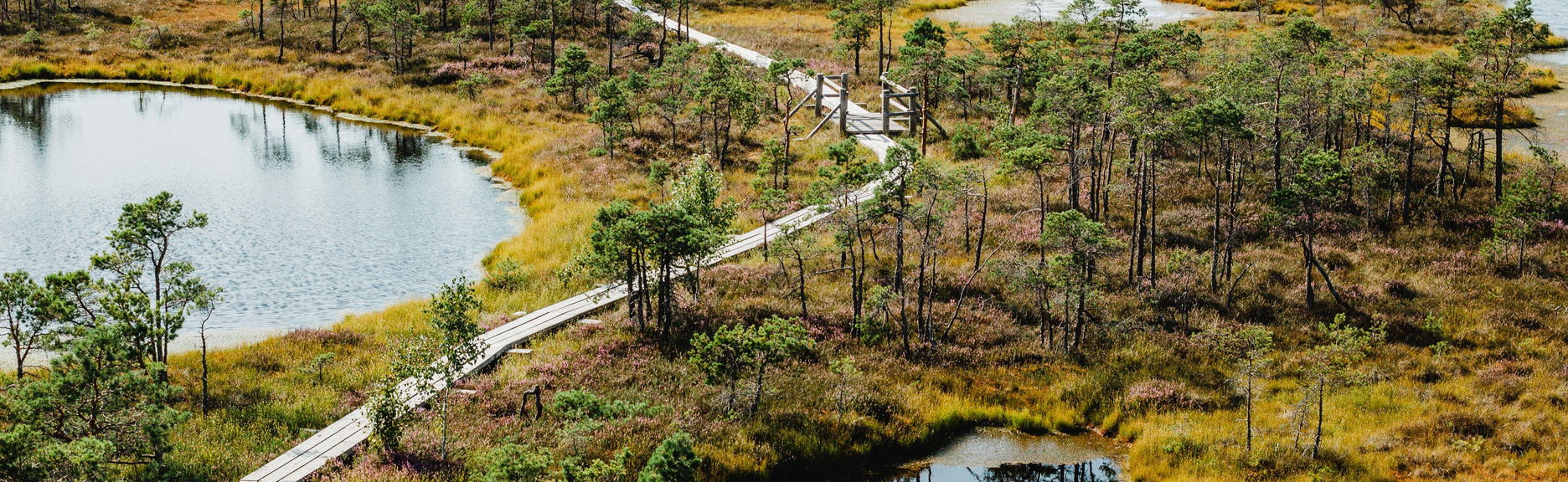 Excursion à Kemeri et au parc national de Jürmala