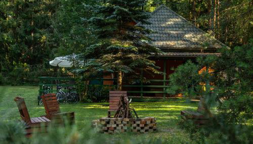 Między Sosnami - Foto 2