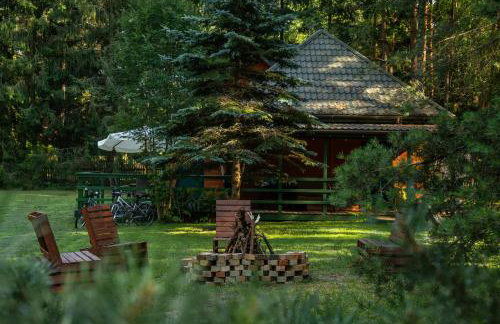 Między Sosnami - Foto 2