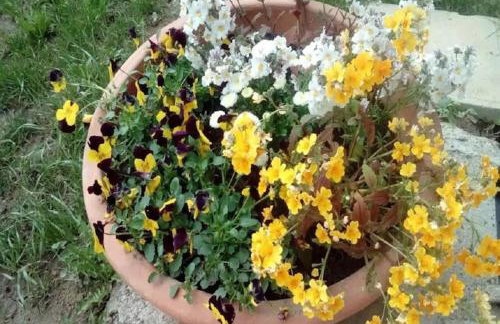 Holiday Home in Bunjevci with Sauna & Garden - Foto 6