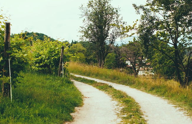 Asolo Norah's Hill Agri Rooms - Foto 128