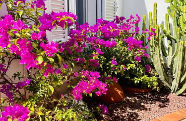 Villa Panoramic del Atlantico - Foto 42