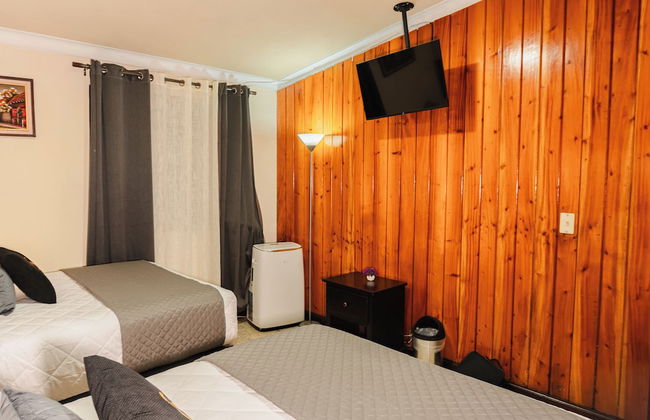 Gold House - Photo 23