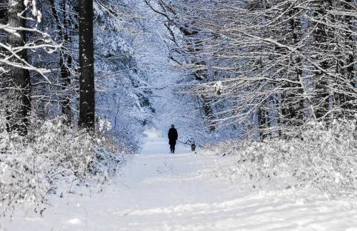 Birgits Huuske - Photo 11