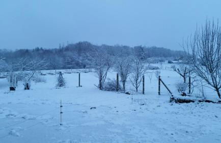 La Vieille Maison aux Canards - Foto 6