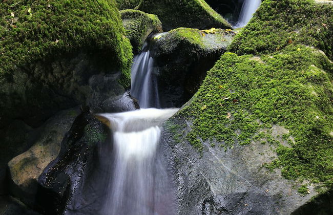 Dartmoor Reach Alpaca Farm - Foto 73