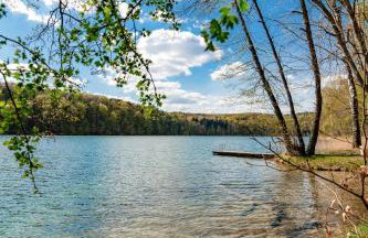 Apartament Forest - Foto 13