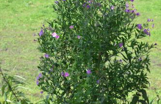Ferienwohnung Süderfeld - Foto 69