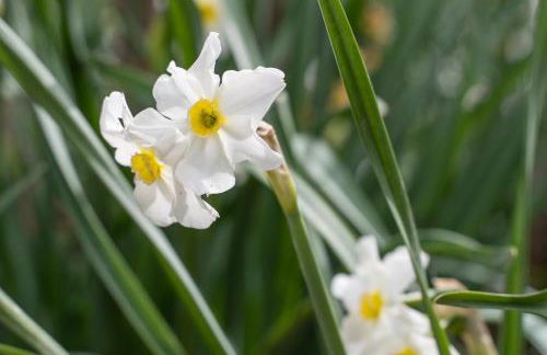 Agriturismo Pozzo Fiorito - Foto 69