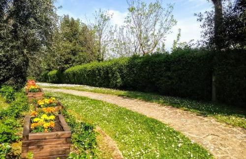 Borgo La Casaccia - Foto 68