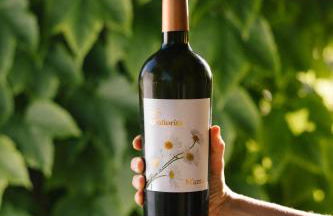 Alloggio Agrituristico Albafiorita - Foto 118