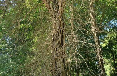 L'entre deux Eaux 'Maison' Balcon 'et Jardin - Foto 24