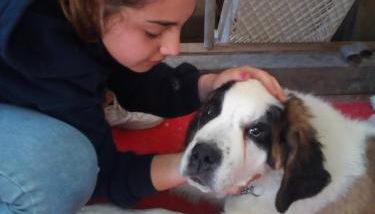 Agriturismo Le Mimose - Foto 2