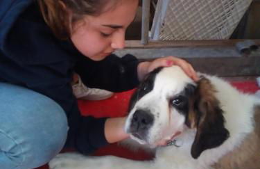 Agriturismo Le Mimose - Foto 2