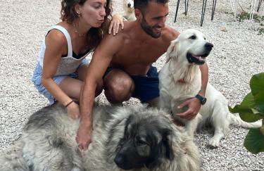 SetterHouseAgriHotel - Photo 13