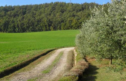 Appartamenti con cucina nelle colline toscane - Foto 50