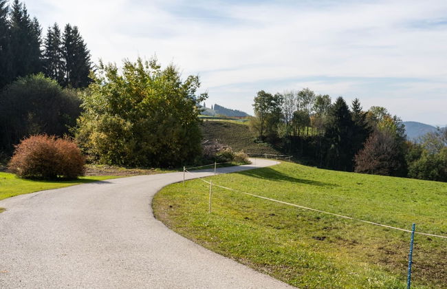 Alpine Hut in Eberstein Near Ski Area - Foto 45