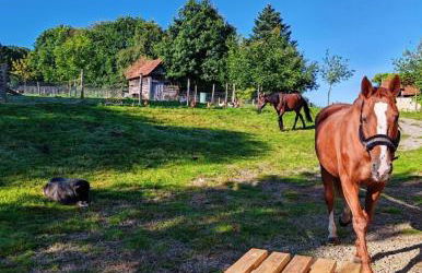 Le Ranch Normand - Foto 47