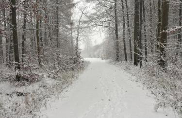 Ferienwohnung „Blaues Schild“ - Foto 23
