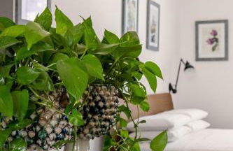 Creuza De Ma - Foto 33