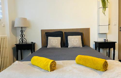 Le 2 - Grand studio Caen Centre Port de plaisance - Photo 1