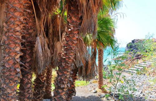 Swing y rélax - Foto 33