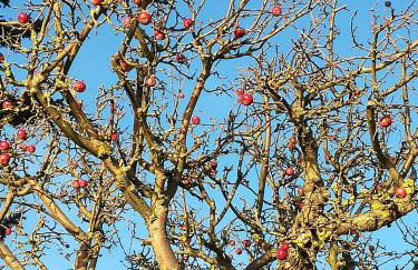 Ich kenne ein Haus am Meer - Foto 41