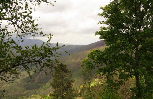 Casa Encantada - Alvoco da Serra - Foto 33